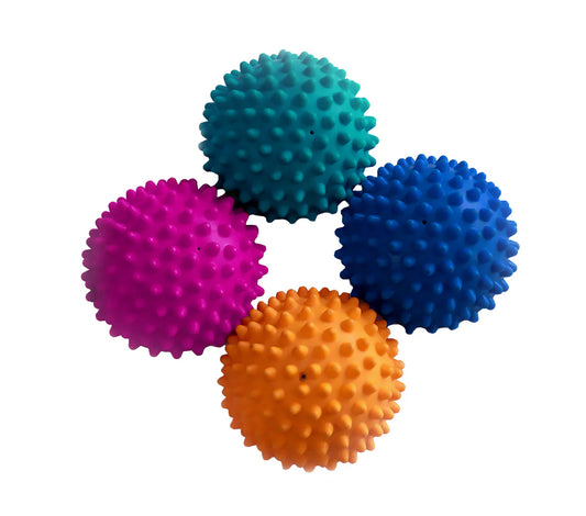 Blazinice za vadbo psov (komplet 4)