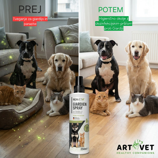 Dezinfekcijsko pršilo proti Giardijam in drugim mikroorganizmom, 250 ml