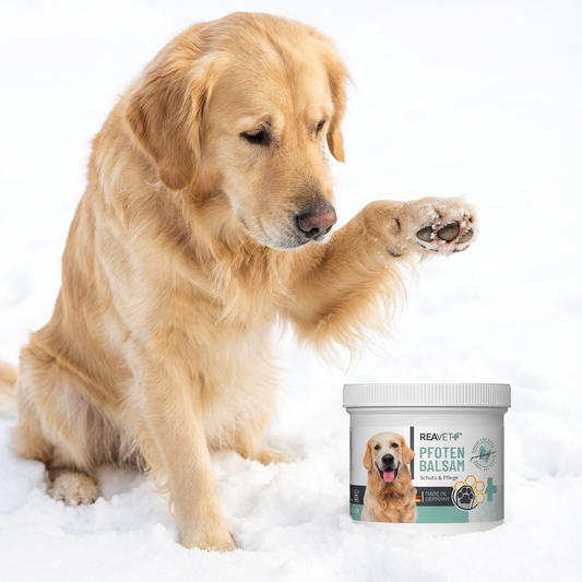 Balzam za tačke za pse in mačke, 120 ml