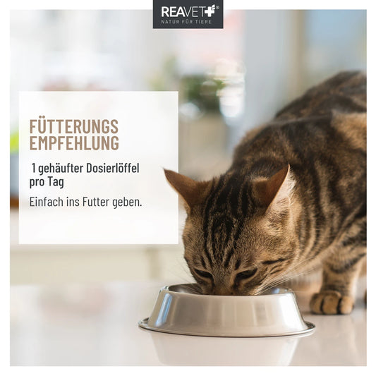 Krmna mešanica za hitro pomoč pri zaprtju in težavah z lenim črevesjem za mačke, 50 g