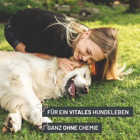 Črevesni prebiotik, 150 g