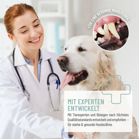 Pršilo za ustno higieno in svež dah, 120 ml