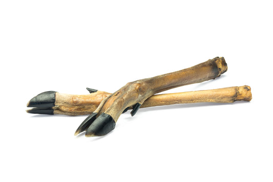 ArtVet srnine noge, 5 kosov