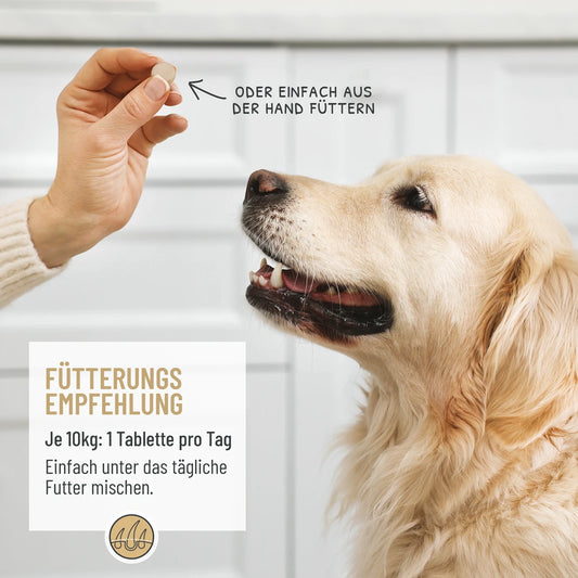 Tablete za dlako in kožo Forte, 120 kosov