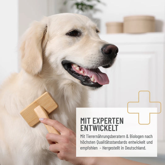 Tablete za dlako in kožo Forte, 120 kosov