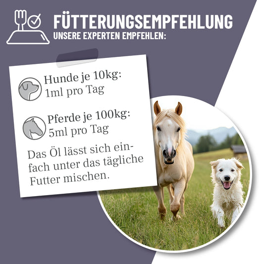 Olje črne kumine, 500 ml