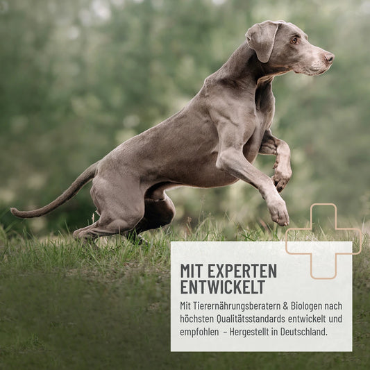 Spirulina v prahu, 250 g