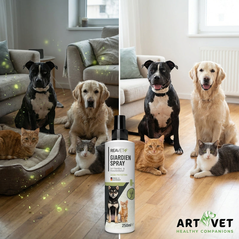 Giardija pri psih, mačkah in malih živalih