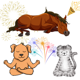 Miren december z BIO  bachovimi esencami – brez stresa za vas in vaše ljubljenčke