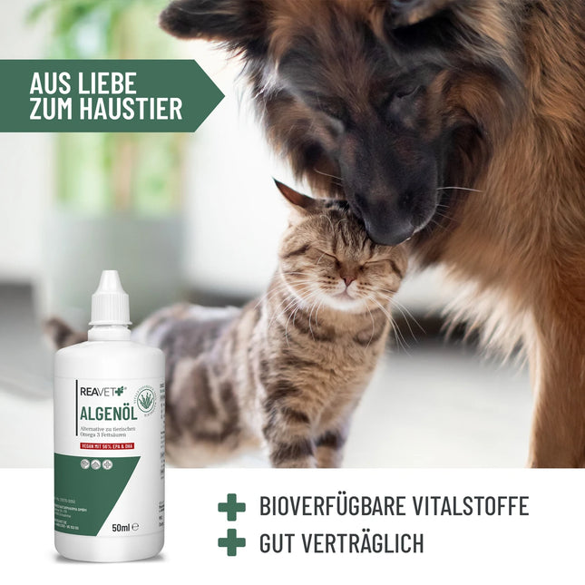 Olje alg, 50 ml