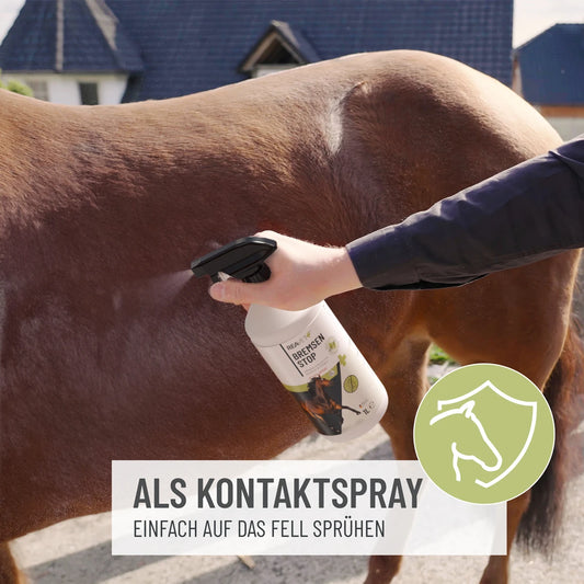 Pršilo proti muham za konje, 6L - komplet XL kanister z razpršilko