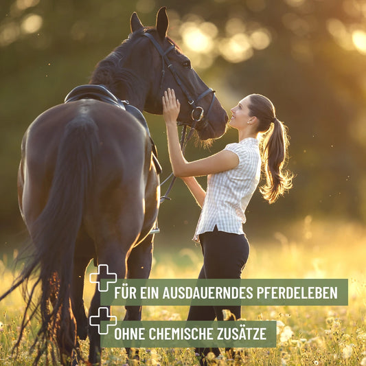 Premium naravna podpora ledvicam in razstrupljanju konj, 10 l