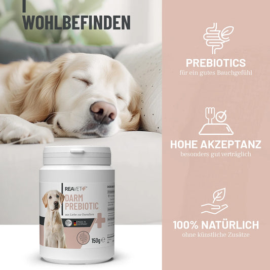 Črevesni prebiotik, 150 g