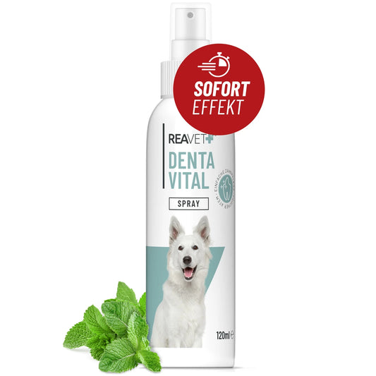 Pršilo za ustno higieno in svež dah, 120 ml