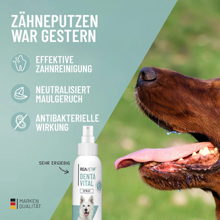 Pršilo za ustno higieno in svež dah, 120 ml