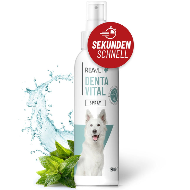 Oral hygiene and fresh breath spray, 120 ml