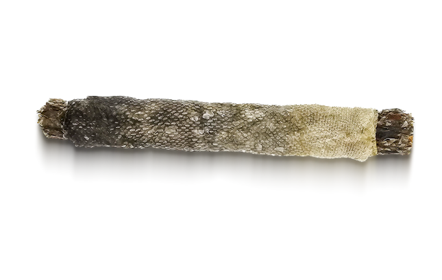 Hot Dog with horse meat and blackberries in cod skin, 2 pieces