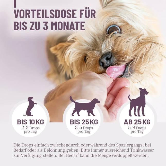 Functional healthy digestion treats for dogs, 350 g