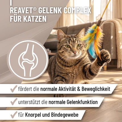 Joint complex for cats, 50 g