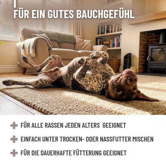 Zdravilno blato za pse za prebavni sistem, 500 g