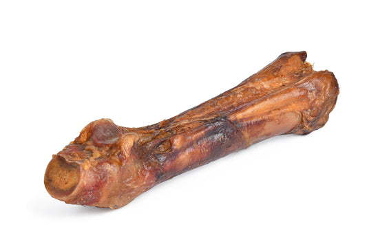 ArtVet konjska kost – noga, 1 kos