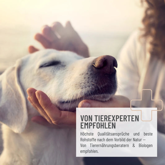 Lupine indijskega psiliuma za prebavo