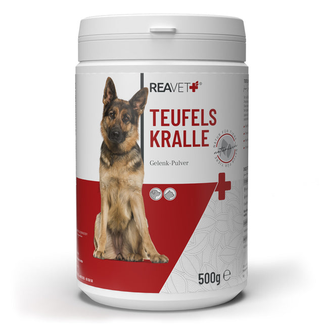 Vražji / hudičev krempelj, 500g