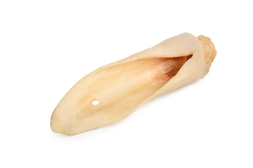 ArtVet jagnječje uho, 10 kosov